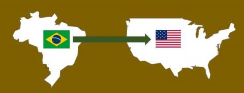 Legal structure comparison between Brazilian and USA companies