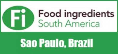 FI South America