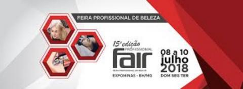 Professional Fair